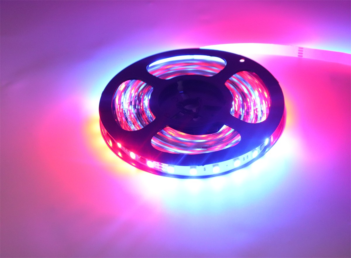 外置LB1934 10段60燈