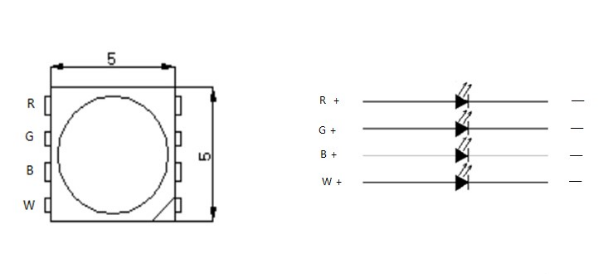 TM1814 5050RGBW 12段72燈 24V(圖2)